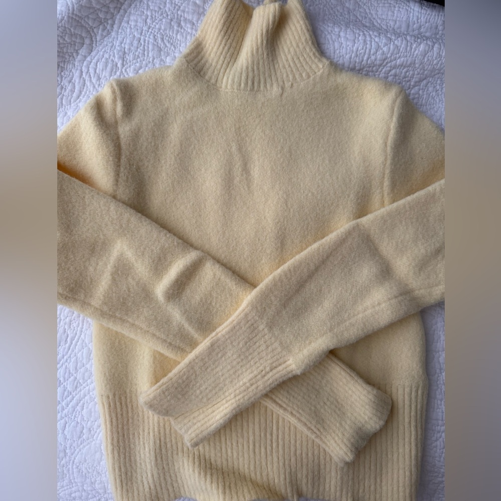 Zara Turtleneck Sweater